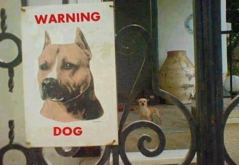 tK_Cuidado con el perro