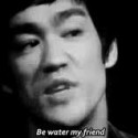 «Be water, my friend»
